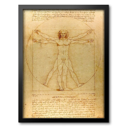 Obraz w ramie Leonardo da Vinci "Człowiek Witruwiański" - reprodukcja