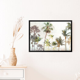 Obraz w ramie Palmy w dżungli w promieniach słońca