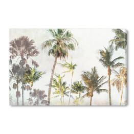 Obraz na płótnie Palmy w dżungli w promieniach słońca