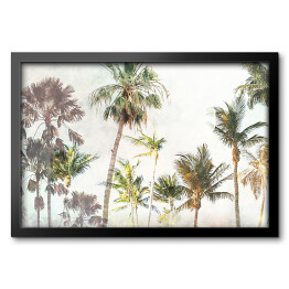 Obraz w ramie Palmy w dżungli w promieniach słońca