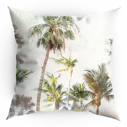 Poduszka Palmy w dżungli w promieniach słońca