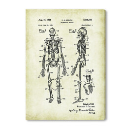 Obraz na płótnie R. S. Bezark - ludzka anatomia - ryciny
