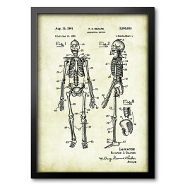 Obraz w ramie R. S. Bezark - ludzka anatomia - ryciny