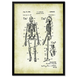 Plakat w ramie R. S. Bezark - ludzka anatomia - ryciny