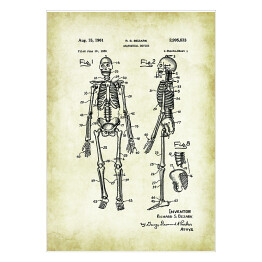 Plakat R. S. Bezark - ludzka anatomia - ryciny