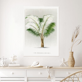 Plakat samoprzylepny Tropikalna roślinność vintage reprodukcja 