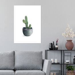 Plakat samoprzylepny Galerie - kaktus 01 