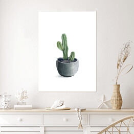 Plakat samoprzylepny Galerie - kaktus 01 