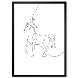 Plakat w ramie Czarno biały koń