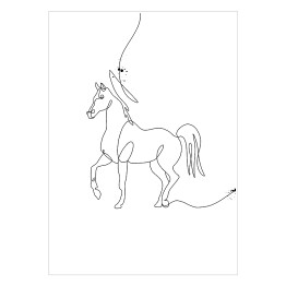 Plakat samoprzylepny Czarno biały koń