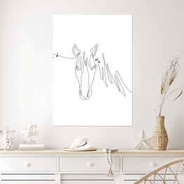 Plakat samoprzylepny Głowa konia - białe konie