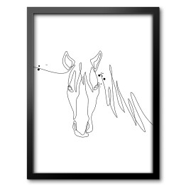 Obraz w ramie Głowa konia - białe konie