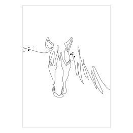 Plakat samoprzylepny Głowa konia - białe konie