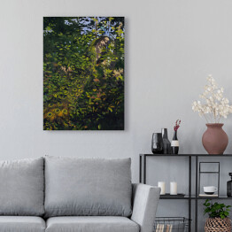 Obraz na płótnie Abbott Handerson Thayer Paw wśród drzew Reprodukcja obrazu