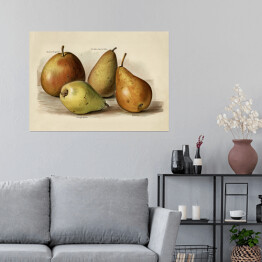 Plakat samoprzylepny Owoce ilustracja w stylu vintage poziom John Wright Reprodukcja