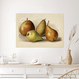 Plakat samoprzylepny Owoce ilustracja w stylu vintage poziom John Wright Reprodukcja