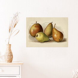 Plakat Owoce ilustracja w stylu vintage poziom John Wright Reprodukcja
