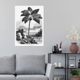 Plakat samoprzylepny Czarno biały krajobraz tropikalnych wysp