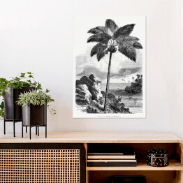 Plakat samoprzylepny Czarno biały krajobraz tropikalnych wysp