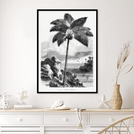 Plakat w ramie Czarno biały krajobraz tropikalnych wysp