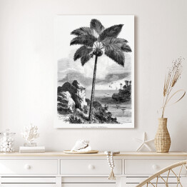Obraz klasyczny Czarno biały krajobraz tropikalnych wysp