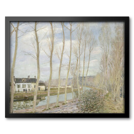 Obraz w ramie Alfred Sisley "Kanał Loinga" - reprodukcja