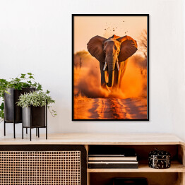 Plakat w ramie Słoń na Safari