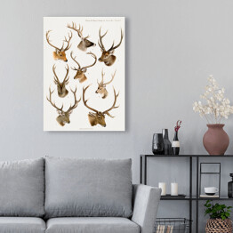 Obraz na płótnie Jelenie akwarelowa ilustracja ze zwierzętami lasu