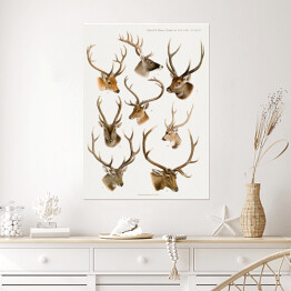 Plakat Jelenie akwarelowa ilustracja ze zwierzętami lasu