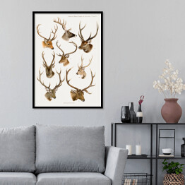 Plakat w ramie Jelenie akwarelowa ilustracja ze zwierzętami lasu
