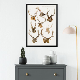 Obraz w ramie Jelenie akwarelowa ilustracja ze zwierzętami lasu