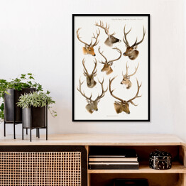 Plakat w ramie Jelenie akwarelowa ilustracja ze zwierzętami lasu