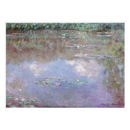 Plakat samoprzylepny Claude Monet Nenufary Reprodukcja obrazu