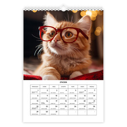 Kalendarz 13-stronicowy Kalendarz z kotami