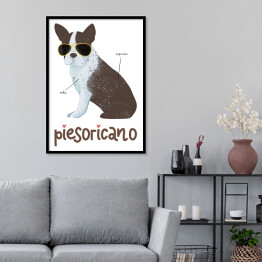 Plakat w ramie Kawa z psem - piesoricano