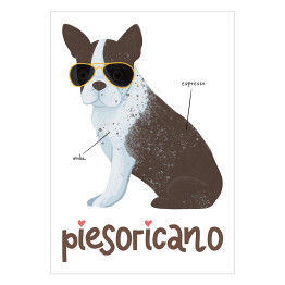 Plakat samoprzylepny Kawa z psem - piesoricano