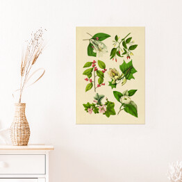 Plakat samoprzylepny Rycina z roślinnością