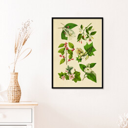 Plakat w ramie Rycina z roślinnością