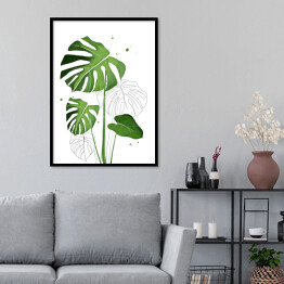 Plakat w ramie Zielone liście monstery na tle szkicu motywu roślinnego