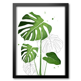 Obraz w ramie Zielone liście monstery na tle szkicu motywu roślinnego