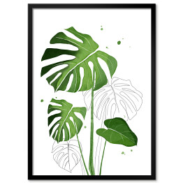 Plakat w ramie Zielone liście monstery na tle szkicu motywu roślinnego