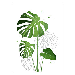 Plakat Zielone liście monstery na tle szkicu motywu roślinnego