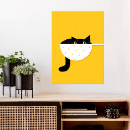 Plakat samoprzylepny Kot w durszlaku