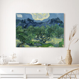 Obraz na płótnie Vincent van Gogh "Drzewa Oliwne" - reprodukcja