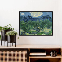 Plakat w ramie Vincent van Gogh "Drzewa Oliwne" - reprodukcja