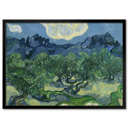 Obraz klasyczny Vincent van Gogh "Drzewa Oliwne" - reprodukcja