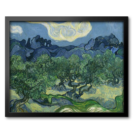 Obraz w ramie Vincent van Gogh "Drzewa Oliwne" - reprodukcja