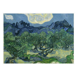Plakat samoprzylepny Vincent van Gogh "Drzewa Oliwne" - reprodukcja