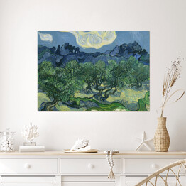 Plakat Vincent van Gogh "Drzewa Oliwne" - reprodukcja