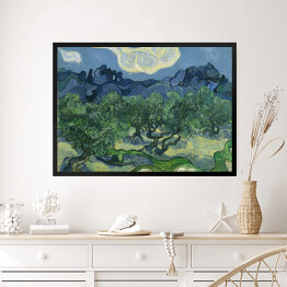 Obraz w ramie Vincent van Gogh "Drzewa Oliwne" - reprodukcja
